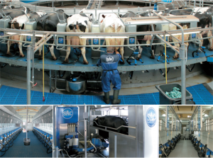 SAC Melkinstallaties