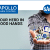 SAC Apollo management platform melkstallen Holland-Utrecht vierkant